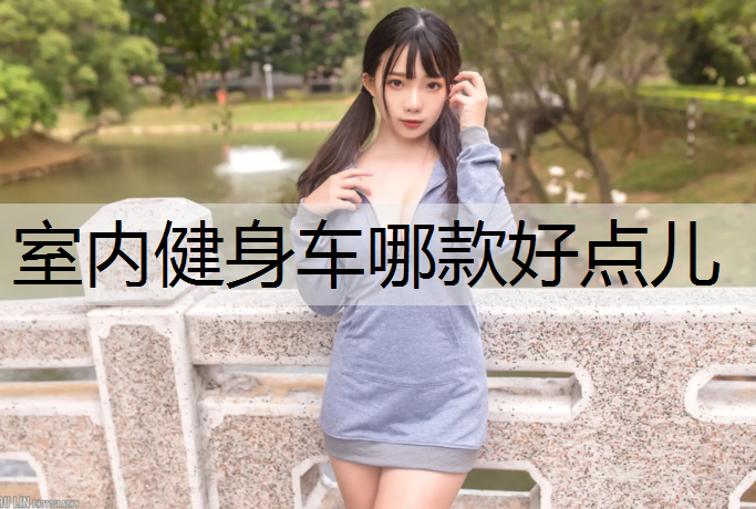 室内健身车哪款好点儿
