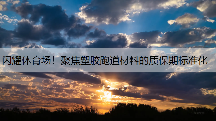 闪耀体育场！聚焦塑胶跑道材料的质保期标准化